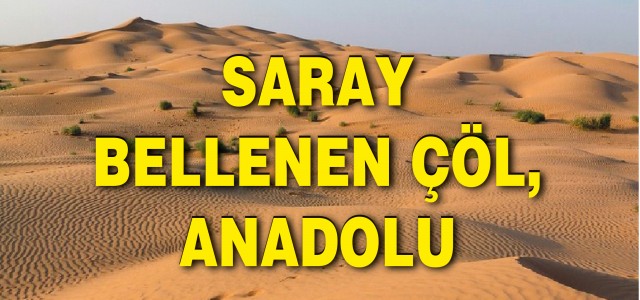 Saray bellenen çöl, Anadolu